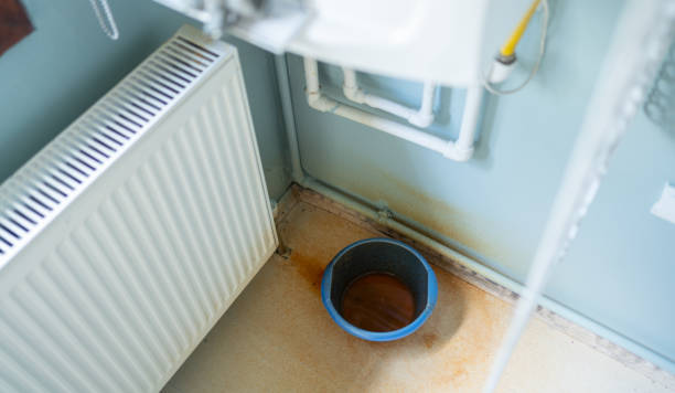 Best Ceiling water damage repair  in Heyworth, IL